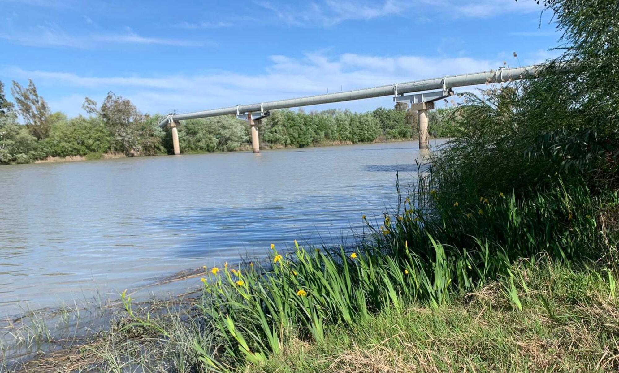 rio-guadalquivir-vertidos